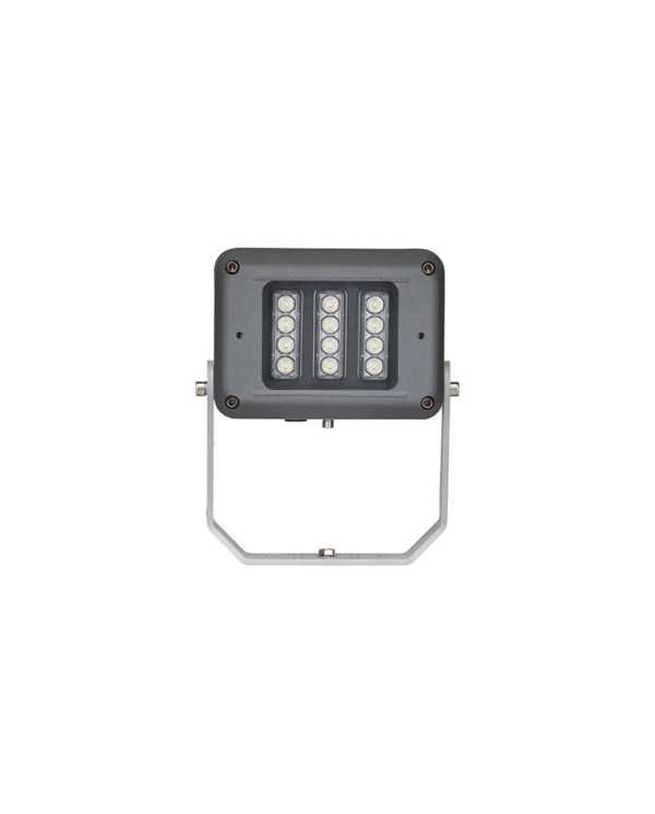 SPARTAN Flood FL12 Floodlight Zone 2/22 2,750 Lumens - A2S