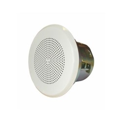 Loudspeaker VES-561-54 (T): EN24-54 compliant - A2S