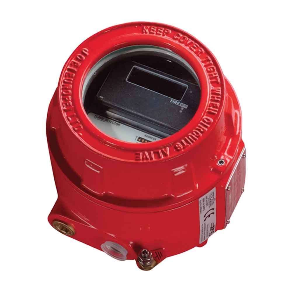 Intrinsic safety detectors l ATEX detectors